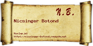 Nicsinger Botond névjegykártya