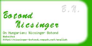 botond nicsinger business card